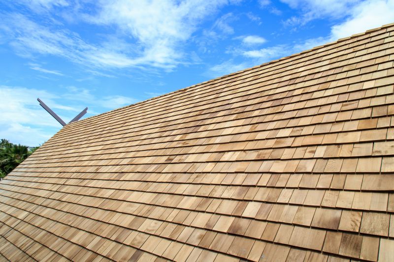 Specialized Roofing Companies